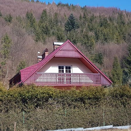 Domek Nad Rzeczka Villa Zabnica Kültér fotó