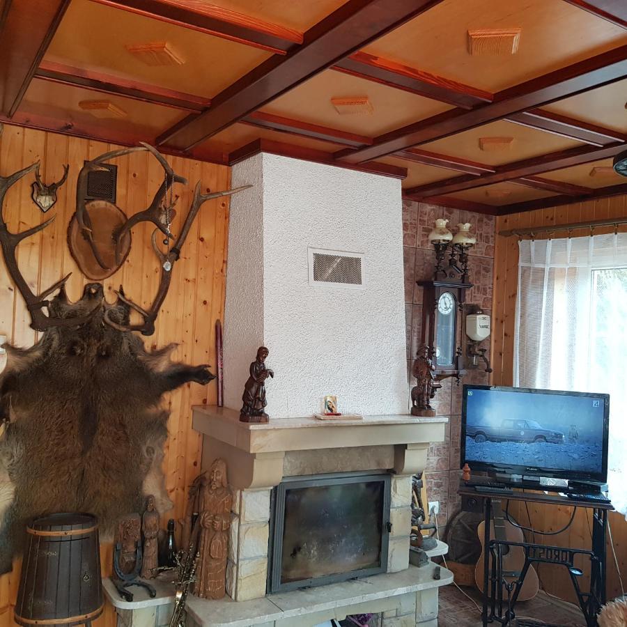 Domek Nad Rzeczka Villa Zabnica Kültér fotó